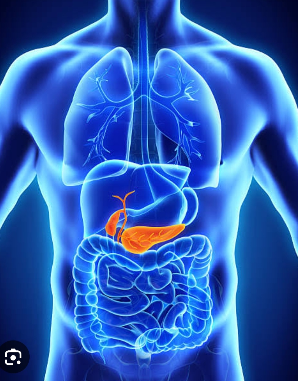 Diabetology               diabetes type i & ii