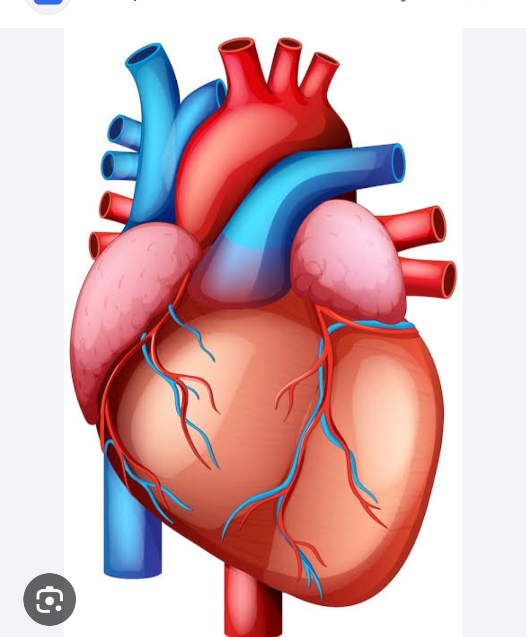 Cardiology